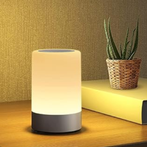 LED Night Light Table Lamp