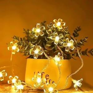 LED Warm White Lights for Indoor Outdoor Decor