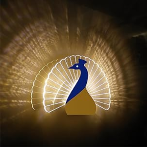 Peacock Wall Light Home Decorative Lights